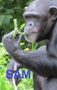 LA CUEVA DE LOS CUENTOS