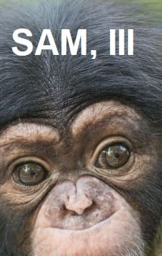 la cueva de los cuentos