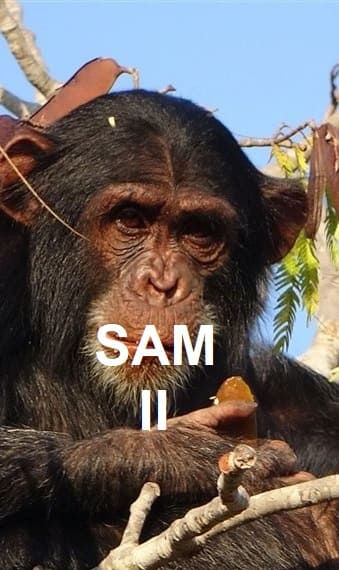 LA CUEVA DE LOS CUENTOS